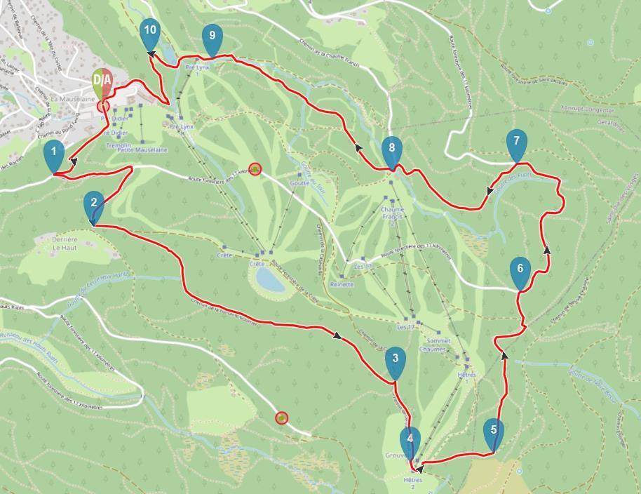 Aux Pieds Des Pistes 4/6 Personnes Gérardmer Exterior foto