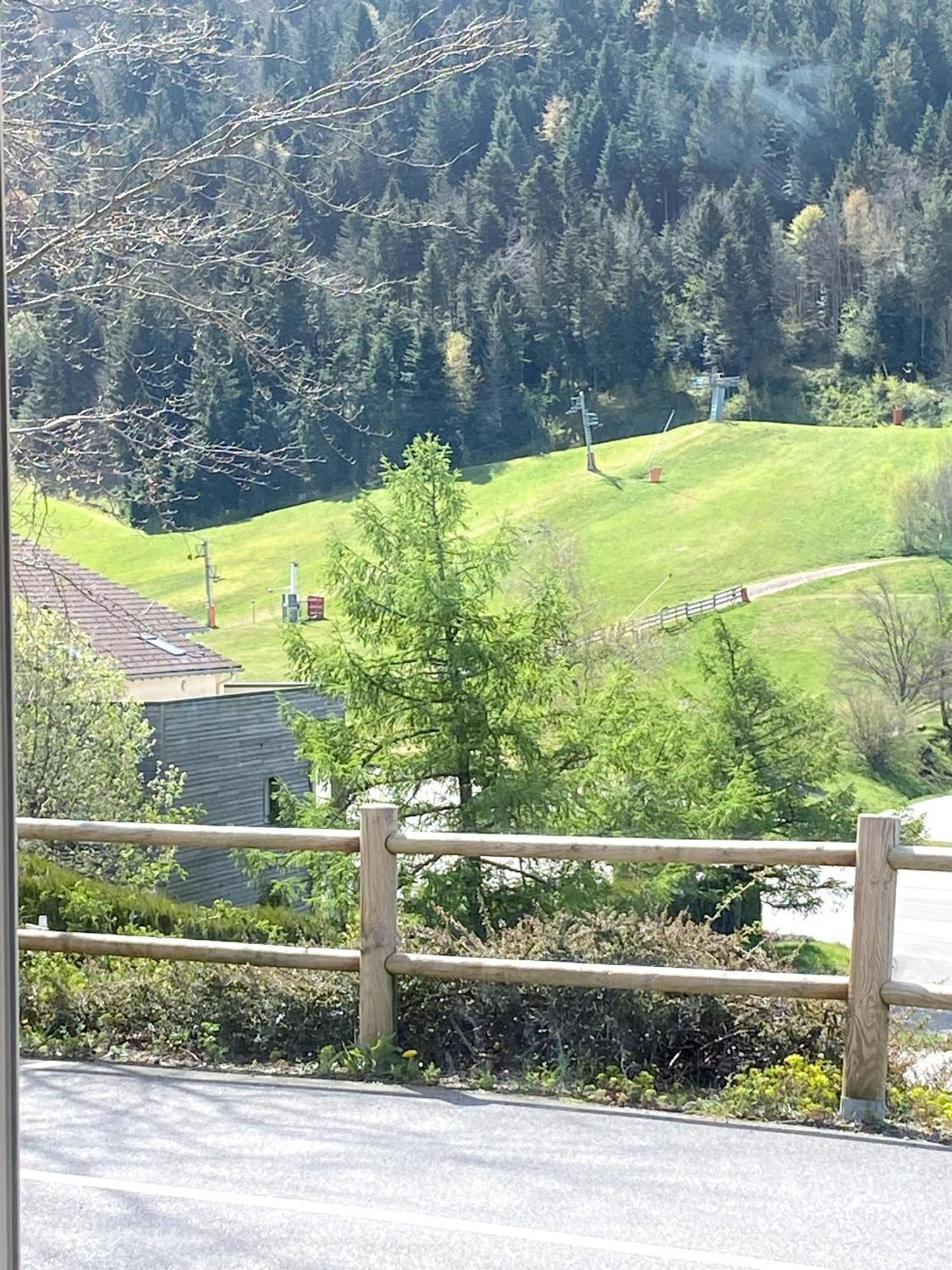 Aux Pieds Des Pistes 4/6 Personnes Gérardmer Exterior foto